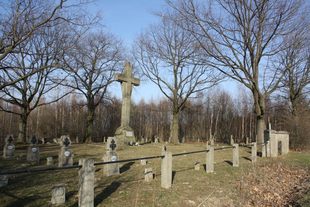 Januszkowice cmentarz numer 217