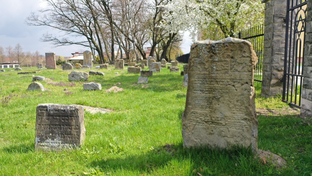 Cmentarz Żydowski w Dębicy