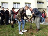 Wicestarosta Adam Pieniążek sadzi drzewa z uczniami