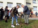 Wicestarosta Adam Pieniążek sadzi drzewa z uczniami