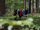 Grupa młodzieży w lesie