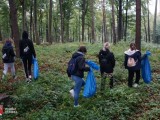 Grupa młodzieży w lesie