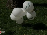 Balony na trawie