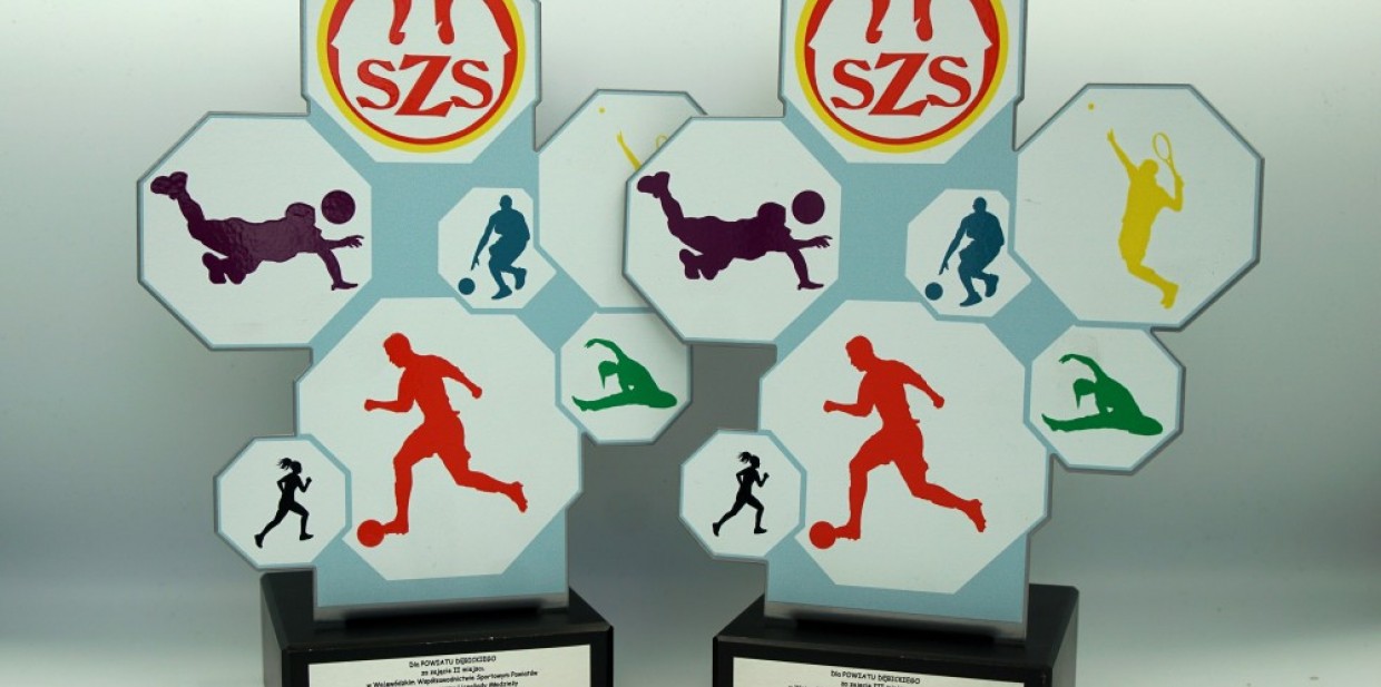 Nagrody za sportowe sukcesy 2022/2023 dla Powiatu Dębickiego